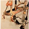 Image 4 : Wyoming Ranch Horsehair Bridle