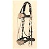 Image 1 : Silver Mounted Headstall
