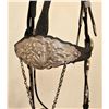 Image 3 : Silver Mounted Headstall