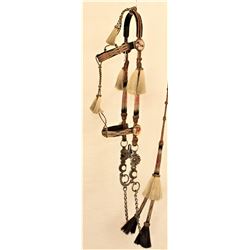 Rawlins Horsehair Bridle