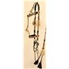 Rawlins Horsehair Bridle