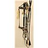 Walla Walla Horsehair Bridle