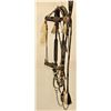 Image 2 : Walla Walla Horsehair Bridle