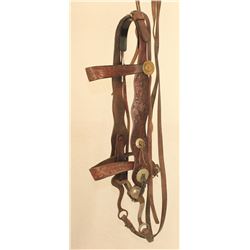 RT Frazier & Heiser Bridles
