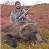 Image 4 : 10 DAY ALASKAN GRIZZLY BEAR HUNT