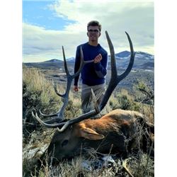 Colorado Fully Guided Archery Elk Hunt for 2021