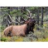 Image 2 : New Mexico TROPHY UNIT 36  Elk Hunt fully guided with Voucher (Choice of Muzzleloader or Rifle)
