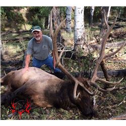 Colorado Archery OTC DYI Elk hunt for three with lodging