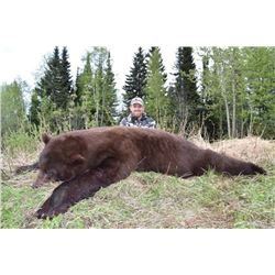 BC Spring Black Bear Hunt