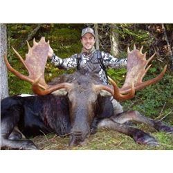 BC Shiras Moose Combo, includes additional hunter for Elk, Mule deer, Bear and Wolf