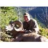 Image 1 : BC Bighorn Sheep Combo Hunt