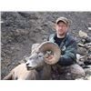 Image 3 : BC Bighorn Sheep Combo Hunt