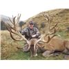 Image 1 : NEW ZEALAND 5 DAY Combo RED STAG ( Up  to 370") AND CHAMOIS included