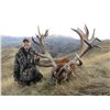 Image 2 : NEW ZEALAND 5 DAY Combo RED STAG ( Up  to 370") AND CHAMOIS included
