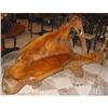 Image 1 : Teak  Bench #936095