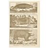 Image 1 : c. 1781 Captain James Cook Engraved Illustration Print  of Animals Encountered