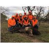 Image 2 : Texas Wild Hog Hunt, 2 Hunters, 3 Days/2 Nights, No Limit on Hogs