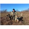 Image 2 : Trophy Kansas Whitetail Hunt, 1 Hunter, 5 Days, Rifle-Archery-Muzzleloader
