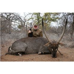 South African Safari 2 Hunters, 7 Days, 5 Days Hunting, Inc. 1 Sable & 1 Nayala split by 2 hunters