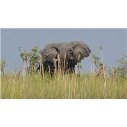 Photo Safari, South Africa, 2 Couples, 7 Days/5 Day Safari
