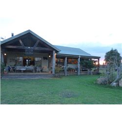 Australia Red Stag, Fallow Deer or Rusa Deer, 1 Hunter, 5 Days/5 Nights