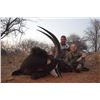 Image 2 : Schoongezicht Hunting Safaris, 7 Day African Safari, 1 Hunter, Includes 1 Sable, Discount for Cape