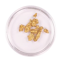 Lot of Australian Gold Nuggets 4.69 grams Total Weight