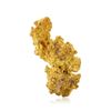 Image 3 : 52.69 Gram Australian Gold Nugget