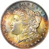 Image 3 : 1904-O $1 Morgan Silver Dollar Coin ANACS MS64 Amazing Toning
