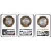 Image 2 : Lot of (3) 2007Mo Mexico 180th Anniversary 100 Pesos Silver Coins NGC MS64