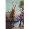 Image 1 : ORIG LANDSCAPE OIL PAINTING OF WILDERNESS AREA #937554