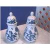 Image 1 : Blue Danube Salt and Pepper Shakers Japan #938142