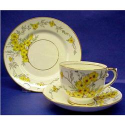 Salisbury Trio CUP & SAUCER , Plate #955606