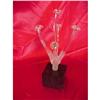 Image 1 : Glass Sculpture J14 #956311