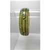 Image 1 : Celluloid Vintage Applejuice Green and Aqua #977176