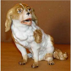 Augustus Rex 18th Century Meissen Dog 18c  #977472