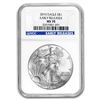 Image 1 : 2010 Silver American Eagle MS-70 NGC (Early Releases)