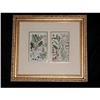 Image 1 : English  Botanicals C.1865 Dual Framed #938303