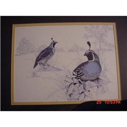 Picture of wild life #988722