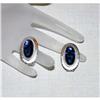 Image 1 : Vintage Signed Whiting & Davis Earrings #990338
