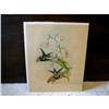 Image 1 : PORTFOLIO OF HUMMINGBIRDS BY JOHN GOULD #991071