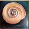 Image 1 : Painting  of shell in oil by "Bahia" #991241