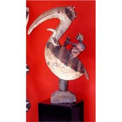 Pelican Bird #991572