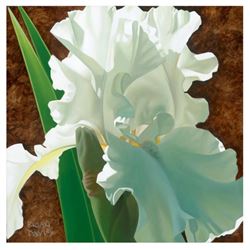 Brian Davis, "Solitary White Iris" Limited Edition Giclee on Canvas, Numbered and Hand Signed with C