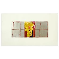 Liz Rider, "Aperture" Original Mixed Media Painting, Hand Signed with Letter of Authenticity.