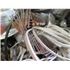 Image 24 : Misc Lighting Fixtures, Whirlwind Medusa Snake. Cables, Fire Extinguishers, etc