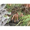 Image 14 : Racks Multiple Sprung Structure Tent Frame Rails -Straight w/ Some Fittings