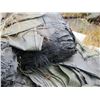 Image 9 : Multiple Rolled & Cut 25" Long Canvas Sand Bags