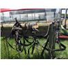 Image 2 : Complete set of Heavy harness comes with bridles and lines