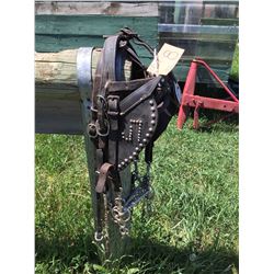 Set of Mule bridles or commonly called Pigeon bridles